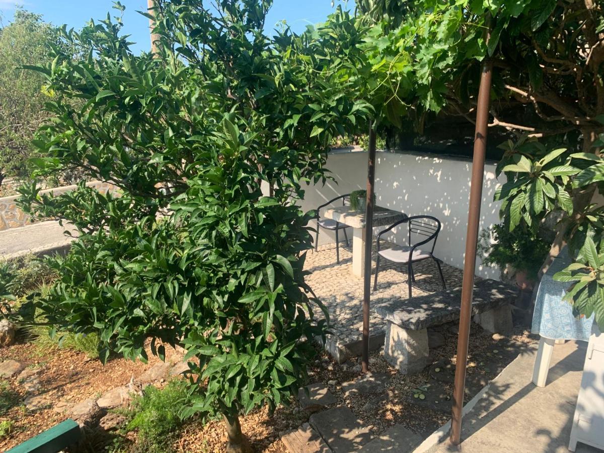 Apartments Villa Bella Vista Seget Trogir Dış mekan fotoğraf